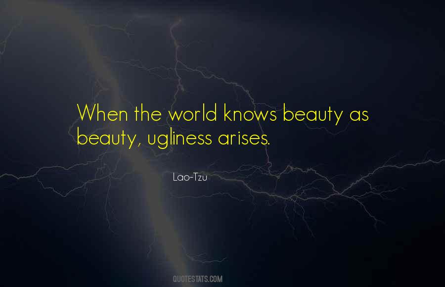 Beauty Ugliness Quotes #1597343