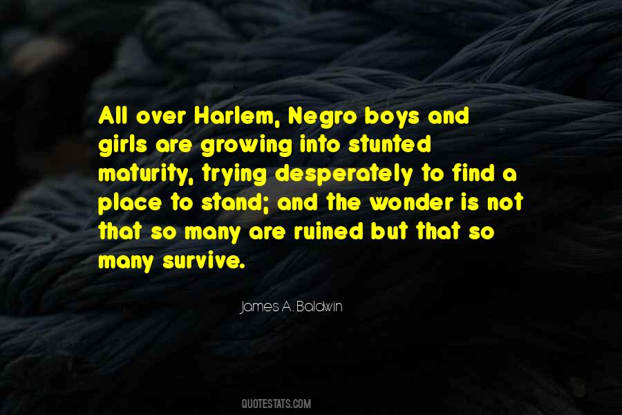 James Baldwin Negro Quotes #1443009