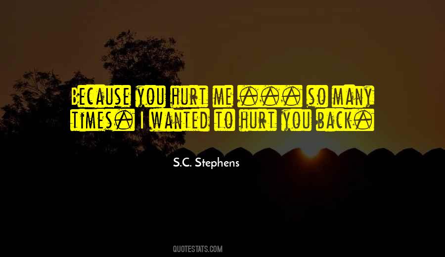 Because You Hurt Me Quotes #1224424