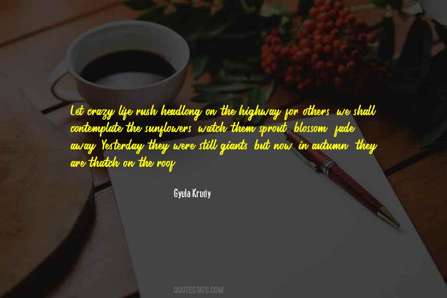 Things Fade Away Quotes #54424