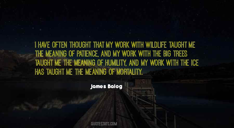 Quotes About Meaning Of Work #280887