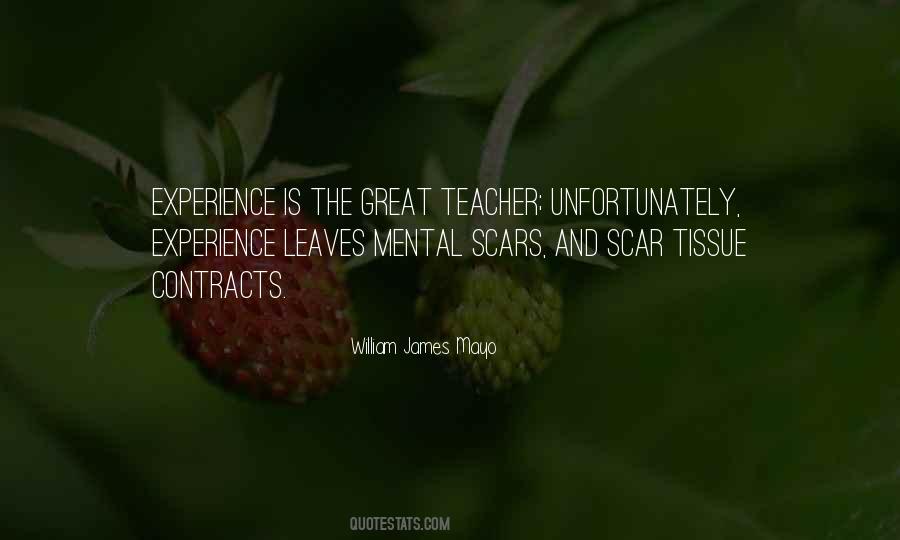 Experience Is A Great Teacher Quotes #753421
