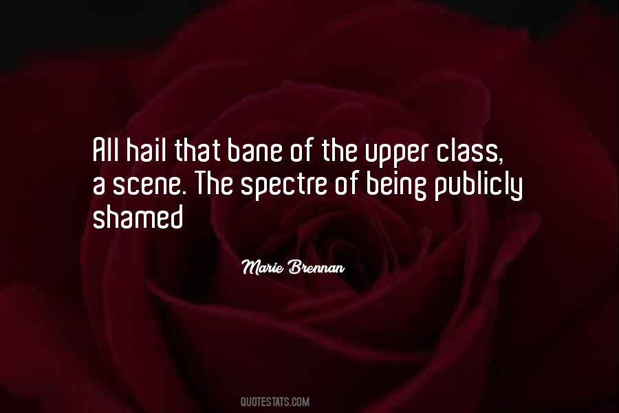 Quotes About The Upper Class #462504