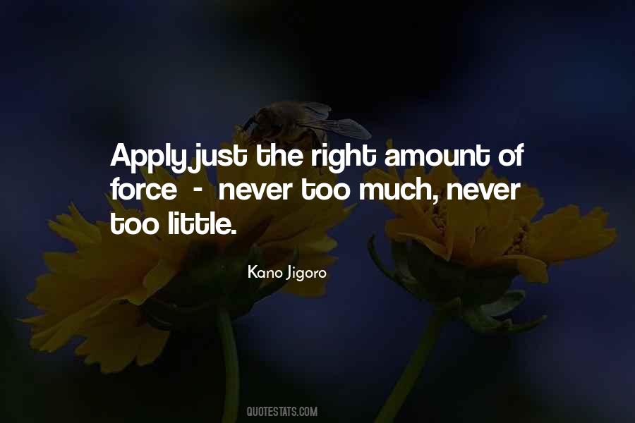Right Amount Quotes #1360257