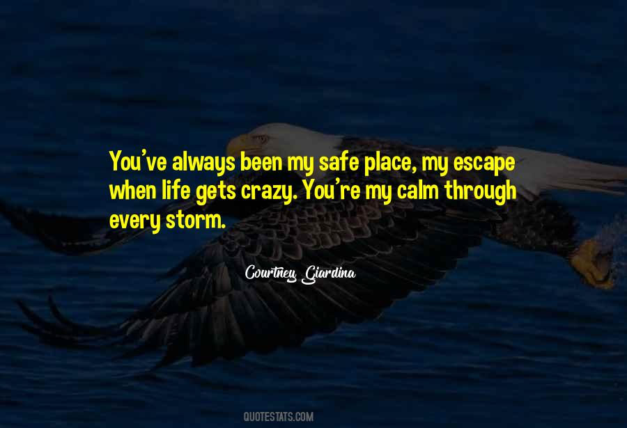 Been Through The Storm Quotes #501578