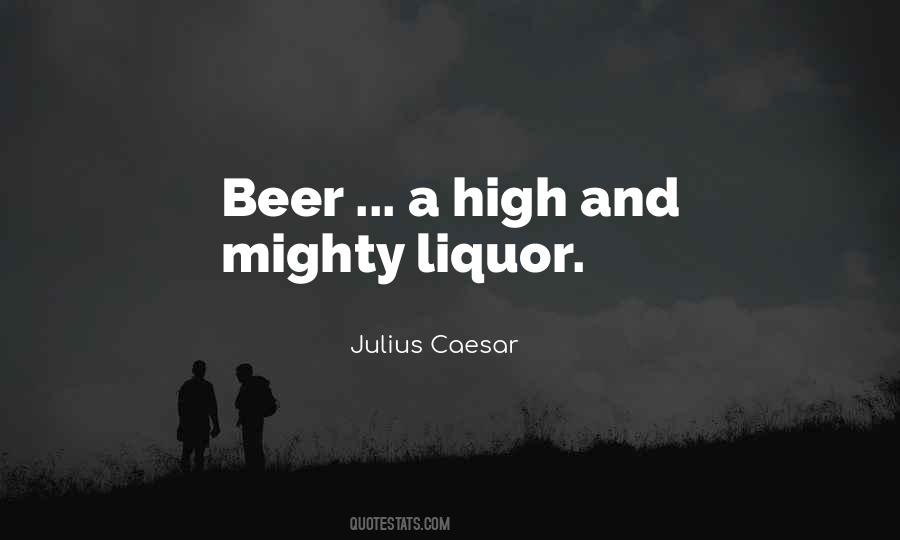 Beer And Liquor Quotes #718649