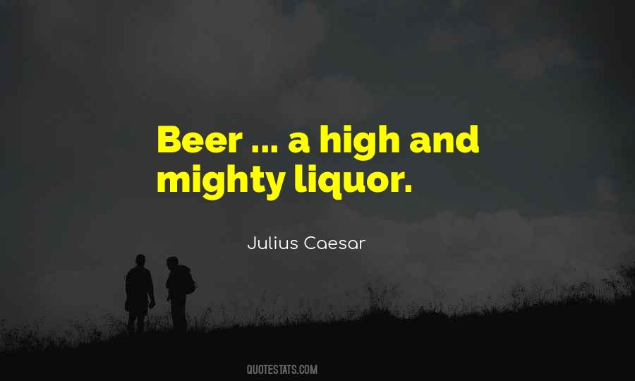 Beer Liquor Quotes #718649