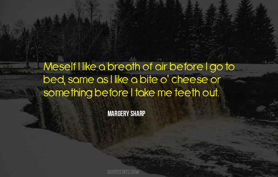 Before I Go Quotes #1567953