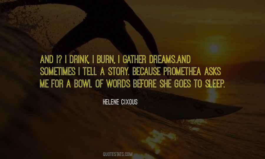 Before I Sleep Quotes #10531