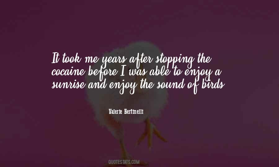 Before The Sunrise Quotes #1511787