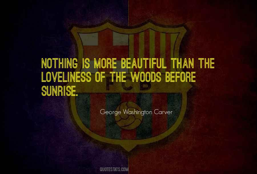 Before The Sunrise Quotes #372648