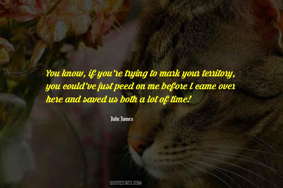 Before You Came Quotes #809300