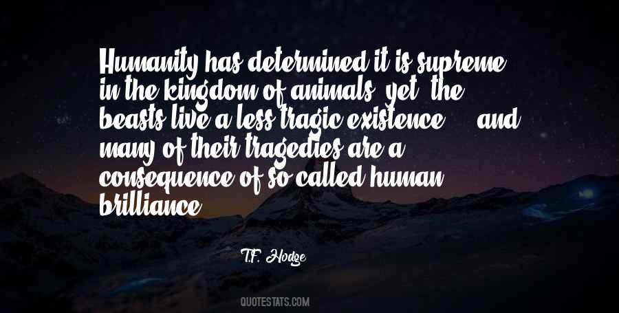 Human Brilliance Quotes #761921