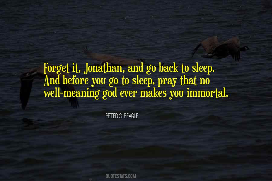 Before You Sleep Quotes #1557056