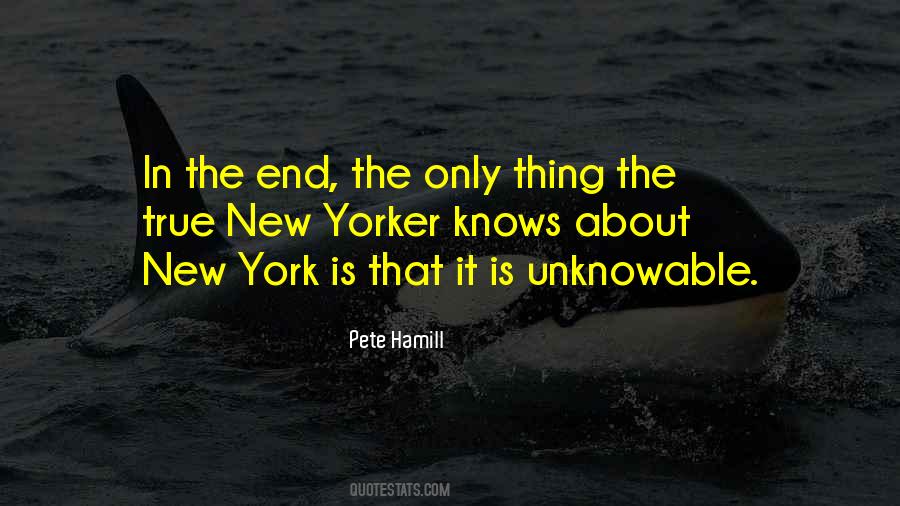 Quotes About The Unknowable #178640