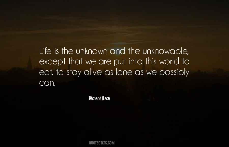 Quotes About The Unknowable #1830245