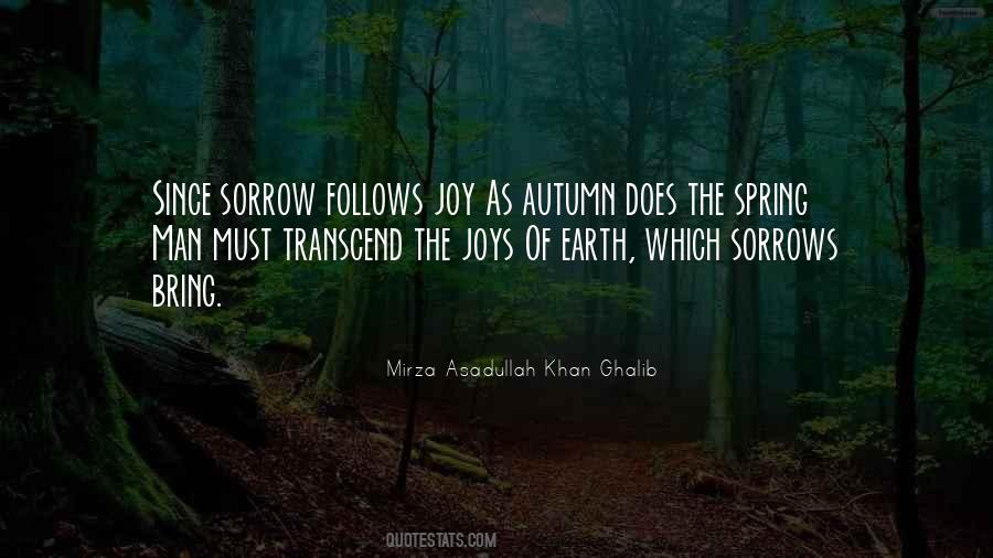 Joy Follows Quotes #1621445