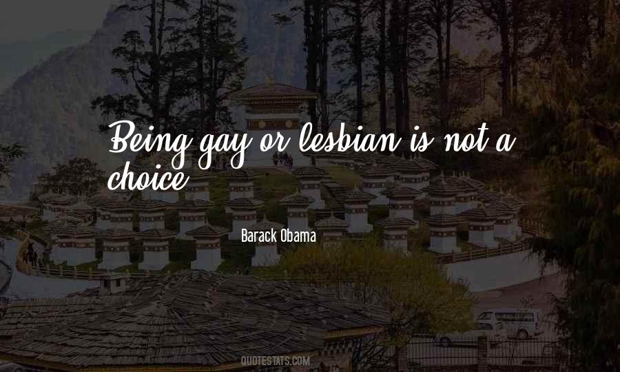 Being A Gay Quotes #527669