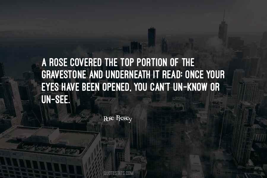 Eyes Once Quotes #409140