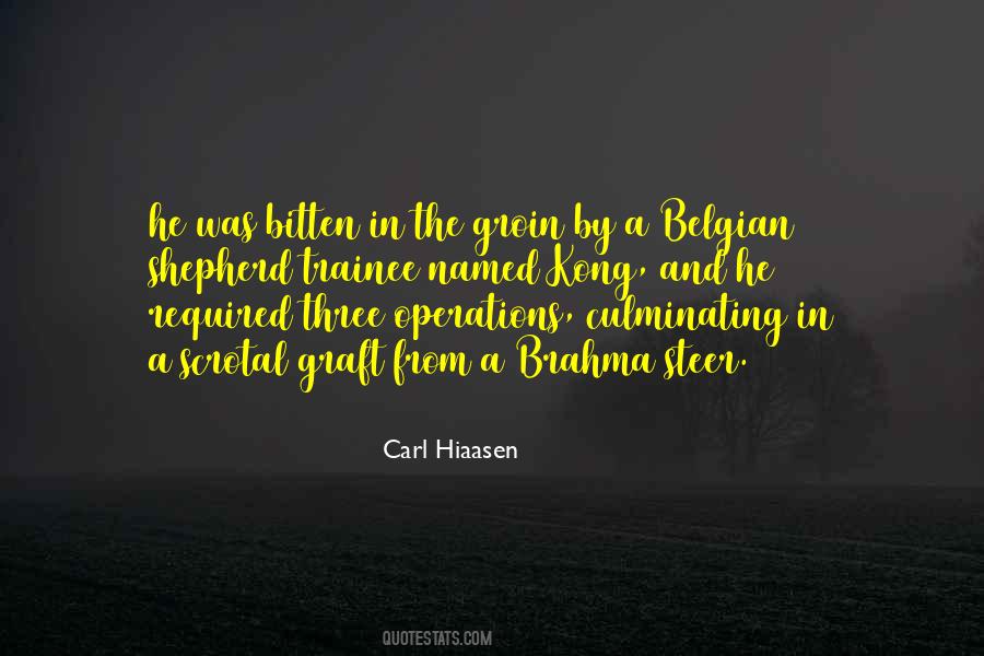 Belgian Quotes #1396288