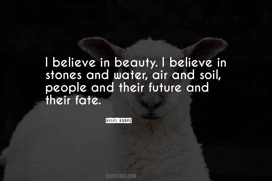 Believe In Fate Quotes #795263