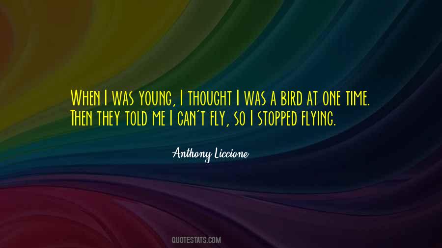 Believe You Can Fly Quotes #93239
