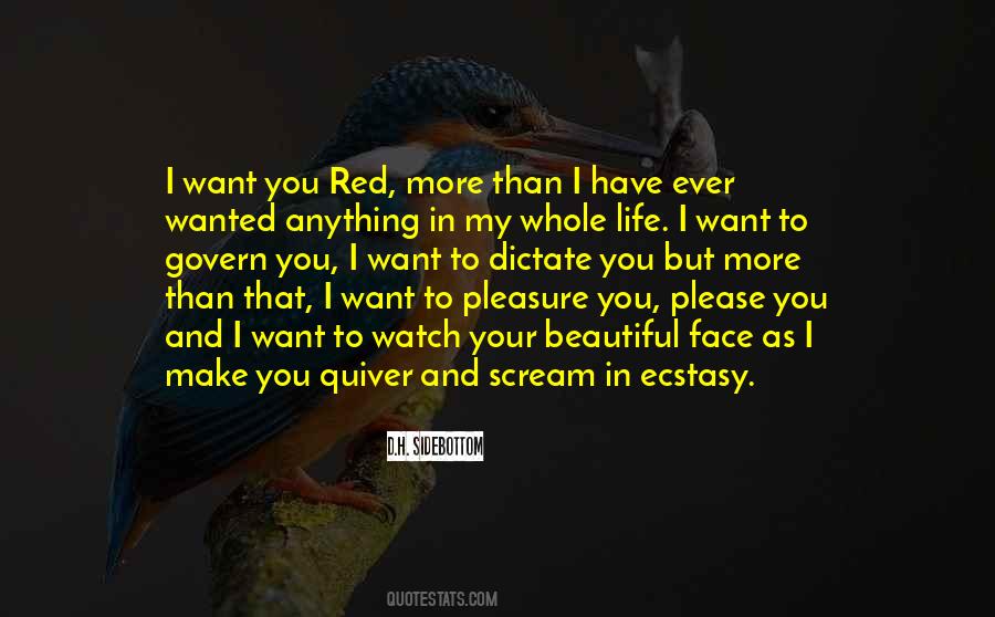 Rolling Stones Concert Quotes #1792909