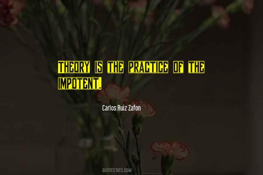 Practice Theory Quotes #508437