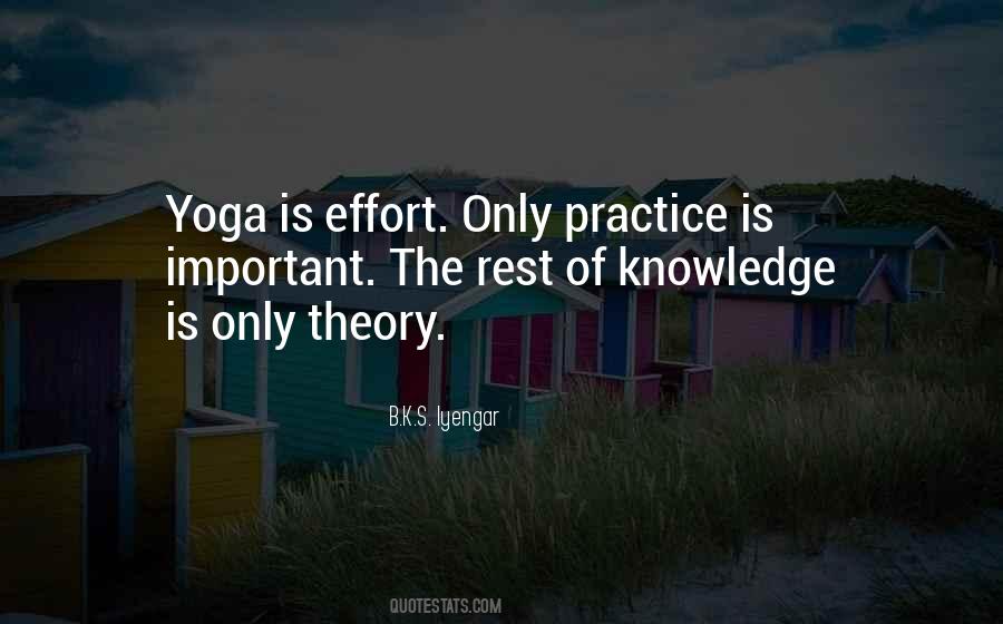 Practice Theory Quotes #609750