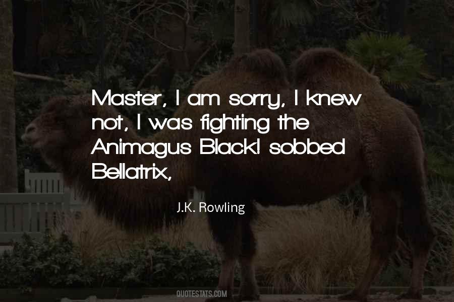 Bellatrix Quotes #1463976
