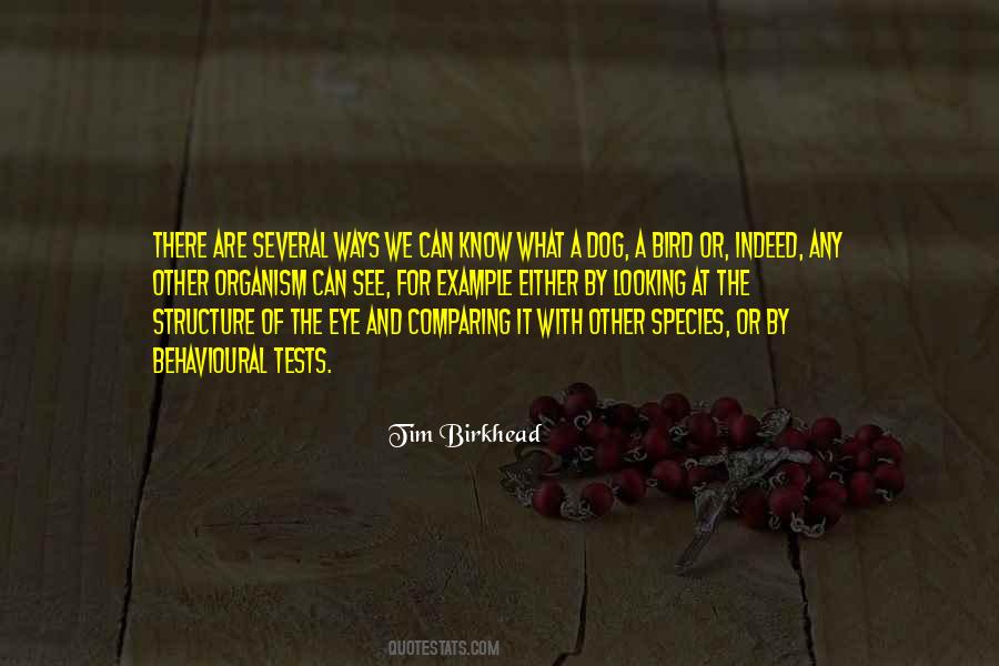 See For Quotes #1471596