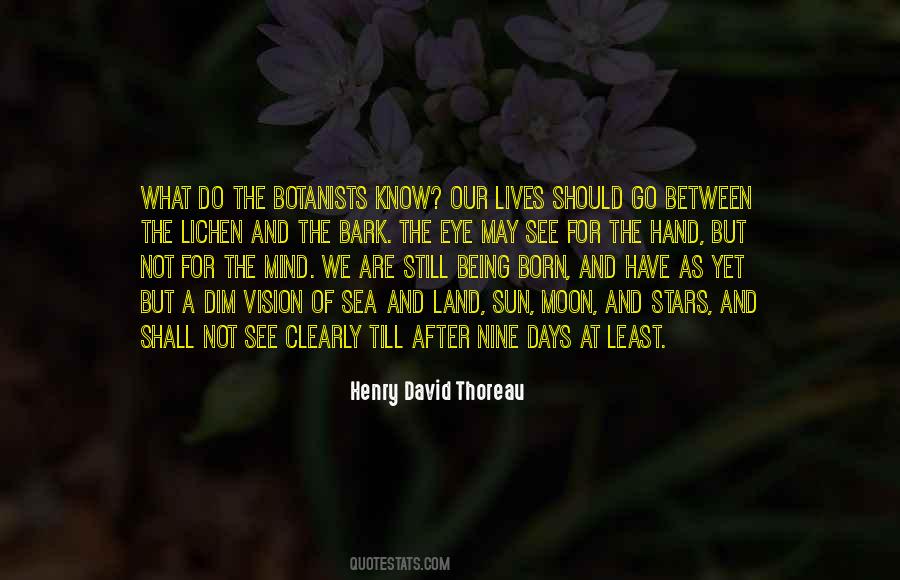 See For Quotes #1538156
