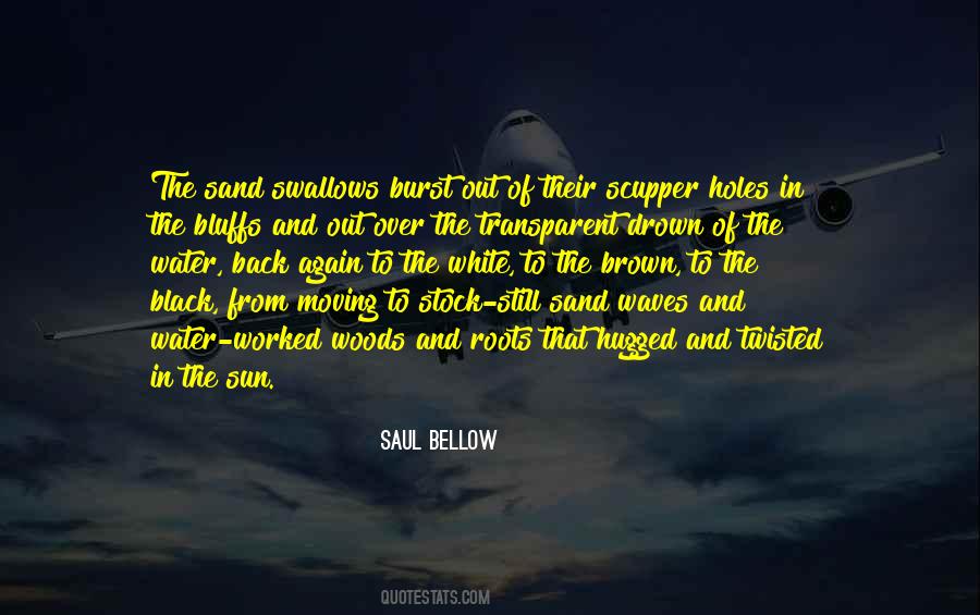 Bellow Quotes #330367