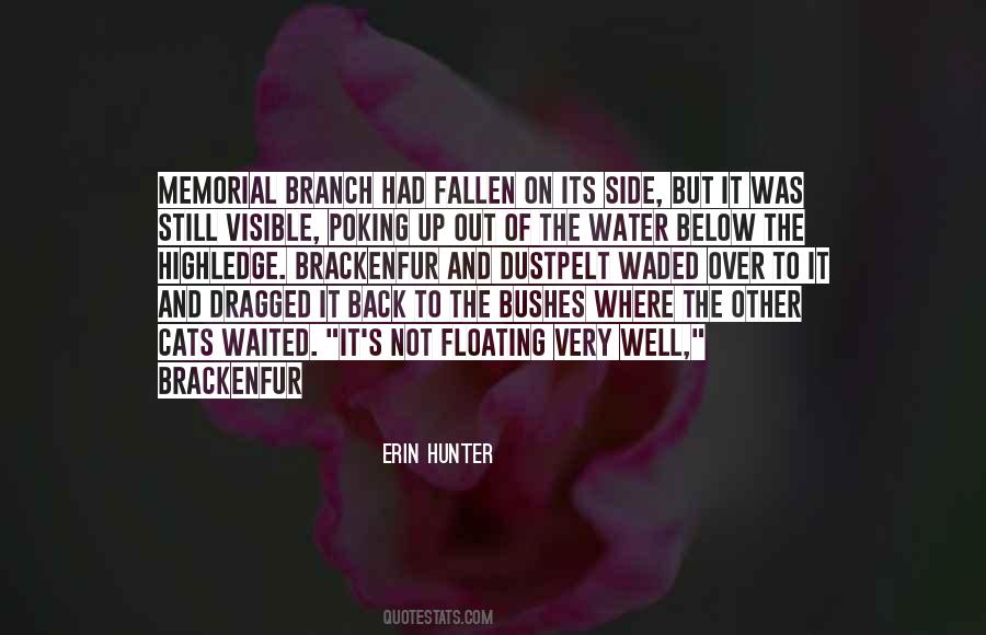 Below Quotes #27540 Below Quotes #27540