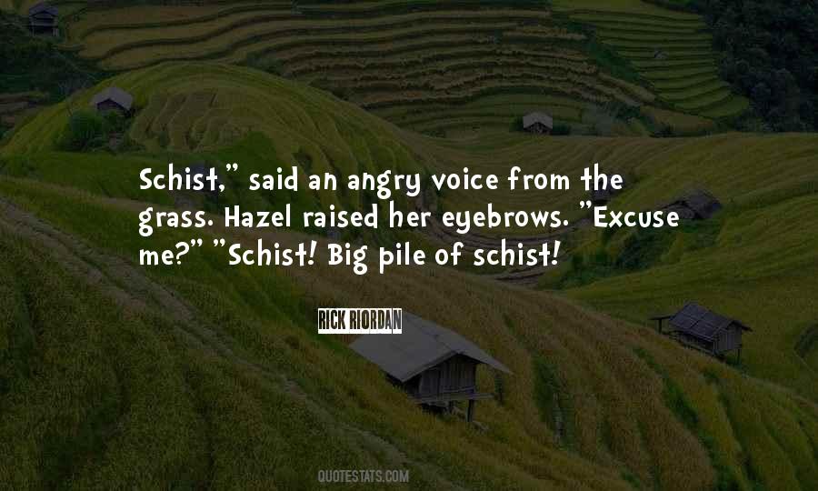 Geology Humor Quotes #390377
