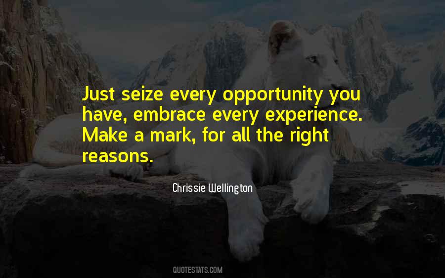 Seize Every Opportunity Quotes #175545