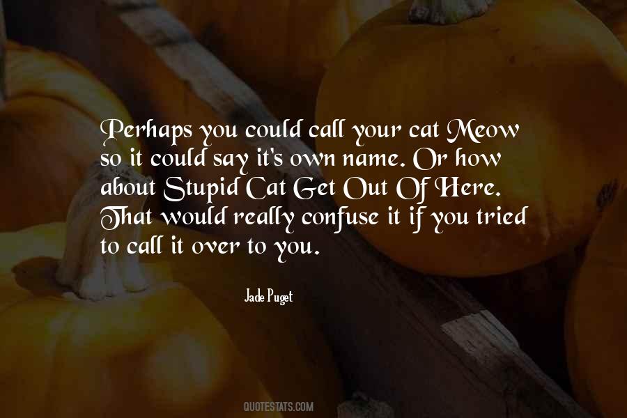 Cat Meow Quotes #828973