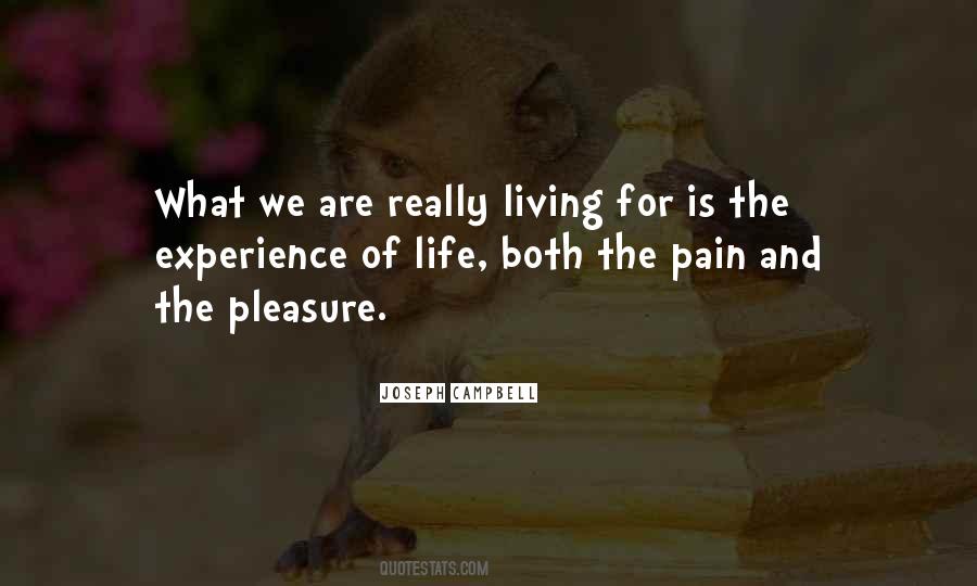 Experience Of Pleasure And Pain Quotes #1161699