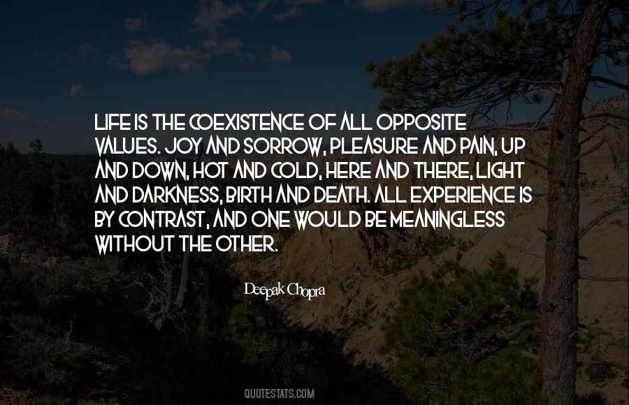 Experience Of Pleasure And Pain Quotes #1251681
