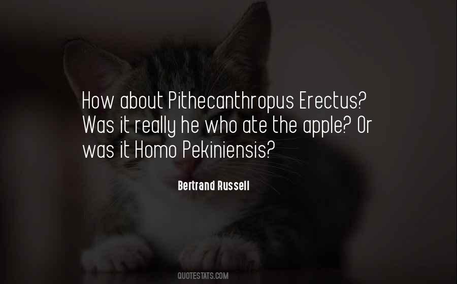 Pithecanthropus Erectus Quotes #561482