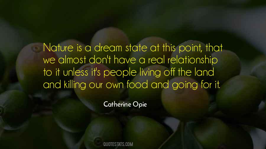 Dream Land Quotes #281614