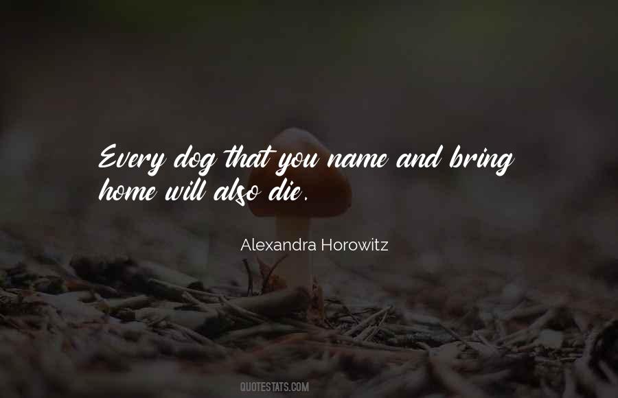 Dog Home Quotes #650755