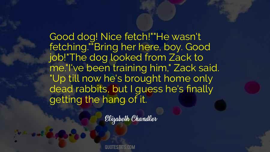 Dog Home Quotes #968304