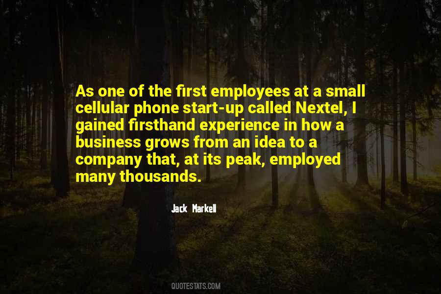 Business Experience Quotes #927369