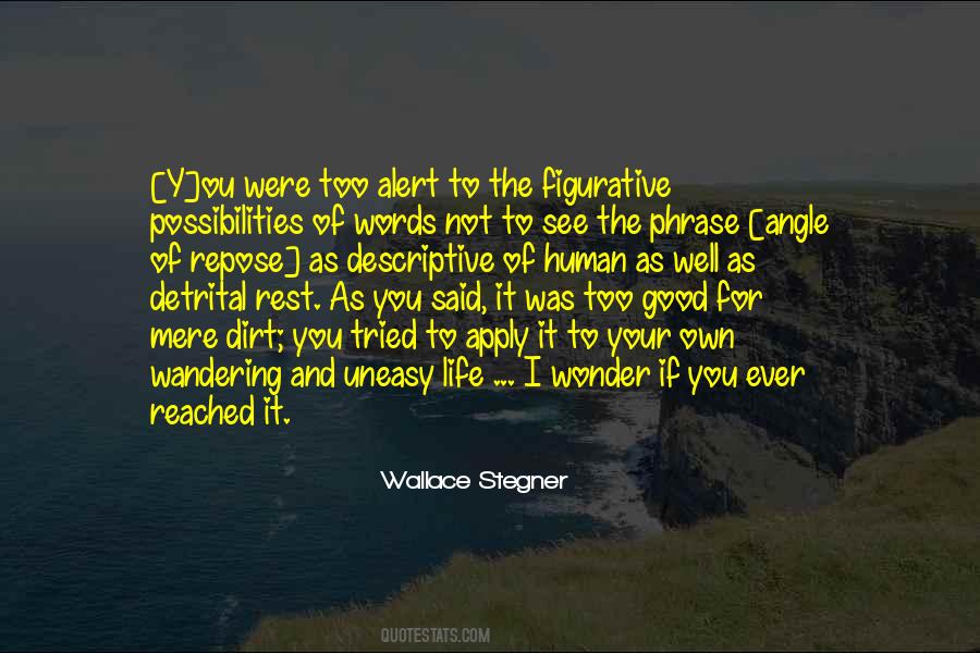 Words Mere Words Quotes #1309459