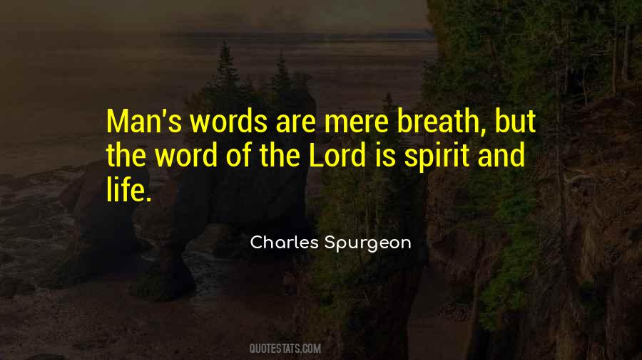 Words Mere Words Quotes #270019