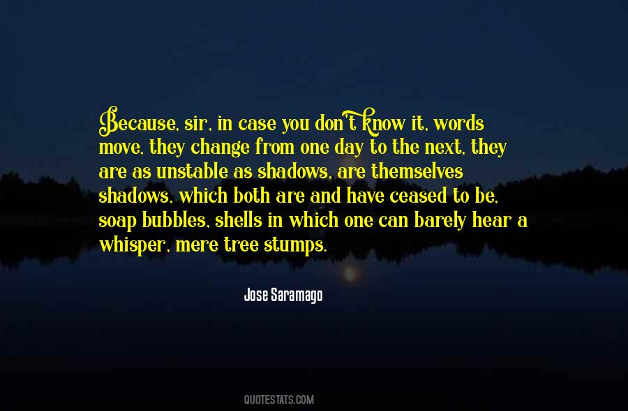 Words Mere Words Quotes #379605