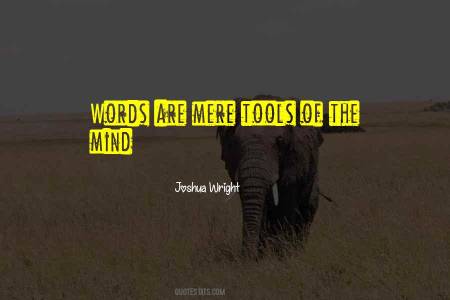 Words Mere Words Quotes #943763