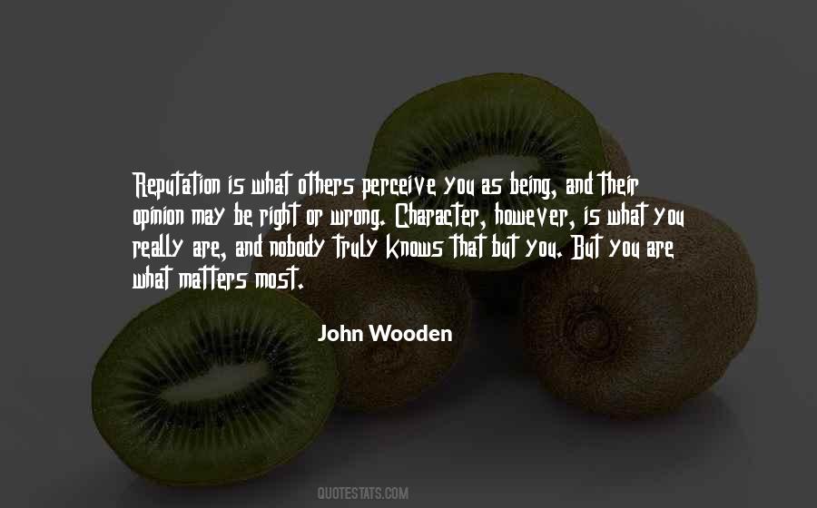 What You Perceive Quotes #1710986