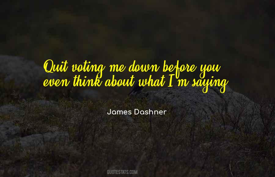 Before You Quit Quotes #95000